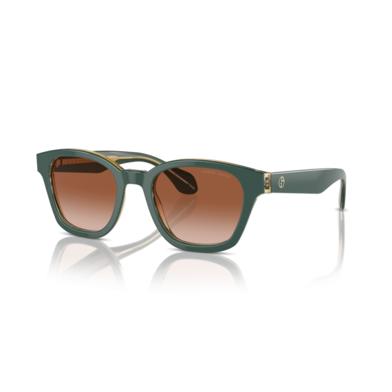 Giorgio Armani AR 8207 608613 Güneş Gözlüğü