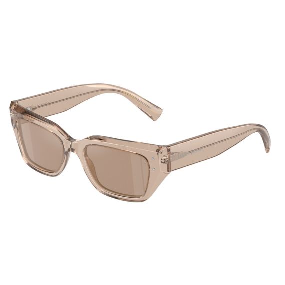 Dolce & Gabbana DG 4462 34325A Güneş Gözlüğü
