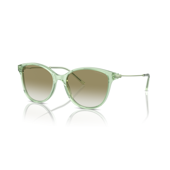 Emporio Armani EA 4220 61078E Güneş Gözlüğü