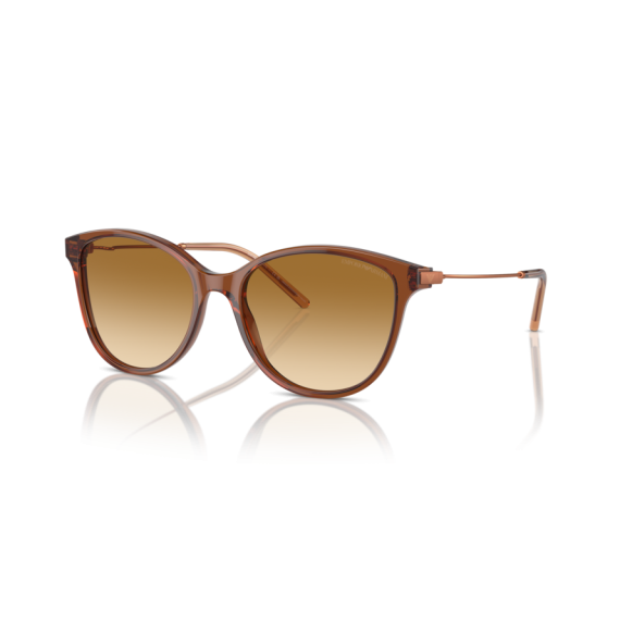 Emporio Armani EA 4220 61103B Güneş Gözlüğü