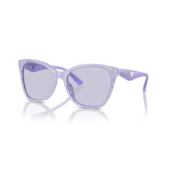 Emporio Armani EA 4222U 61131A Güneş Gözlüğü
