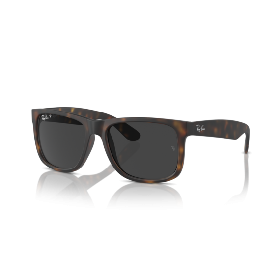 Ray-Ban RB 4165 865/87 Güneş Gözlüğü