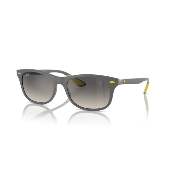Ray-Ban RB 4607M F60811 Güneş Gözlüğü