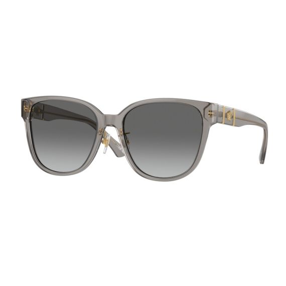 Versace VE 4460D 540611 Güneş Gözlüğü