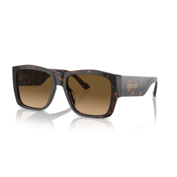 Ferrari FH 2003U 702/M2 Güneş Gözlüğü