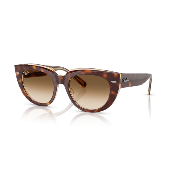 Ray-Ban RB 2286 141451 Güneş Gözlüğü, Cinsiyet: Kadın, Ekartman: 52