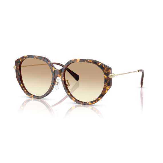 Michael Kors MK 2248D 401613 Güneş Gözlüğü