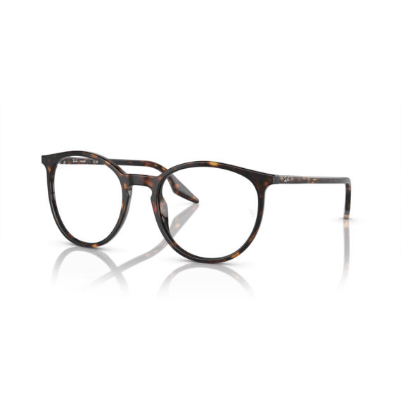 Ray-Ban RB 2204 902/GJ Güneş Gözlüğü, Cinsiyet: Unisex, Ekartman: 54