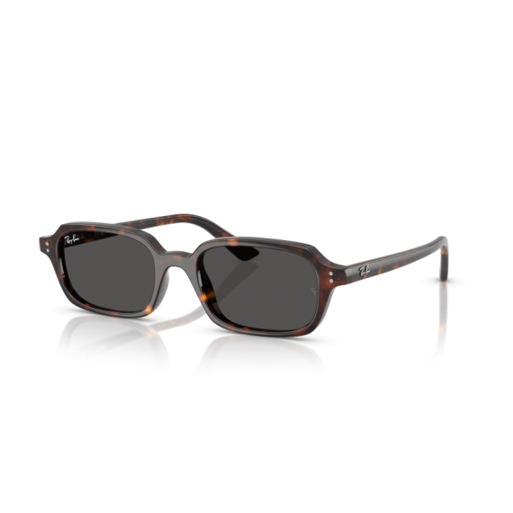 Ray-Ban RB 4455 135987 Güneş Gözlüğü, Cinsiyet: Unisex, Ekartman: 52
