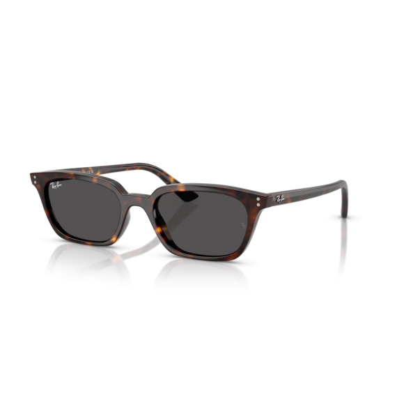 Ray-Ban RB 4456 135987 Güneş Gözlüğü, Cinsiyet: Unisex, Ekartman: 50