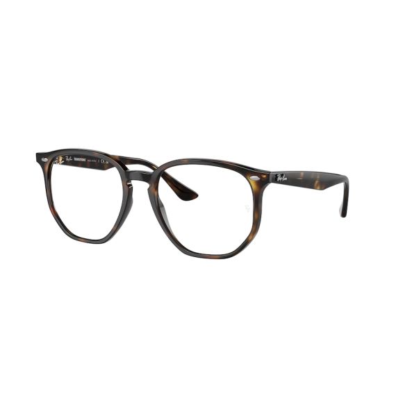 Ray-Ban RB 4306 710/M1 Güneş Gözlüğü