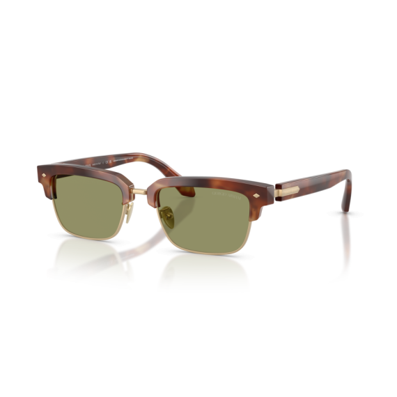 Giorgio Armani AR 8243 630214 Güneş Gözlüğü