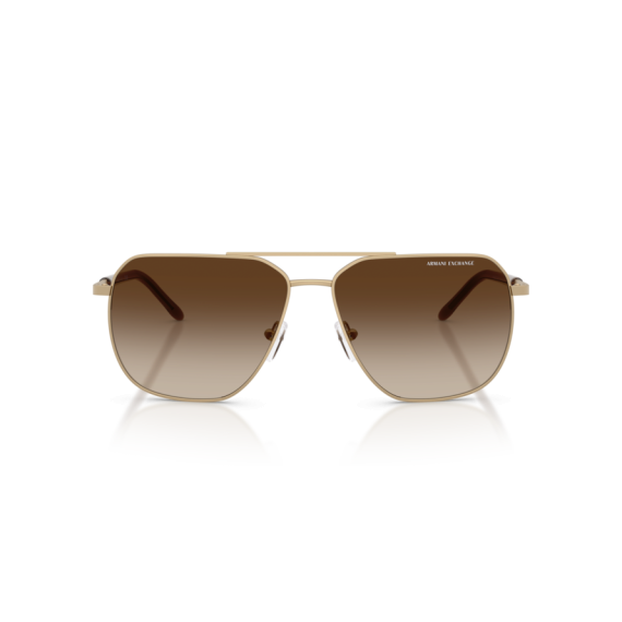 Armani Exchange AX 2057S 612113 Güneş Gözlüğü, Resim 6