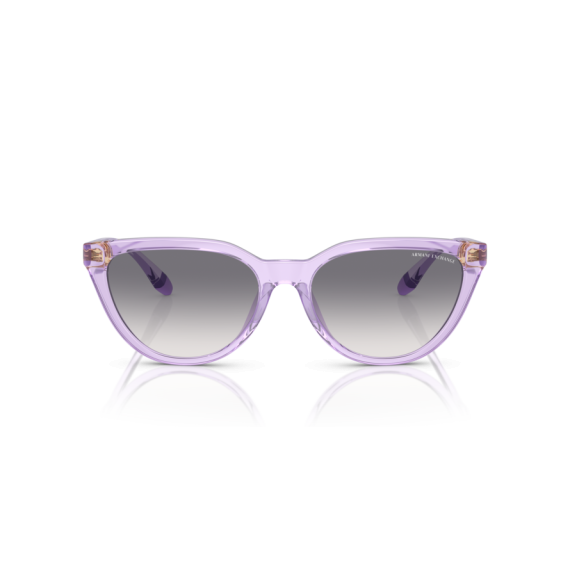 Armani Exchange AX 4130SU 823679 Güneş Gözlüğü, Resim 4