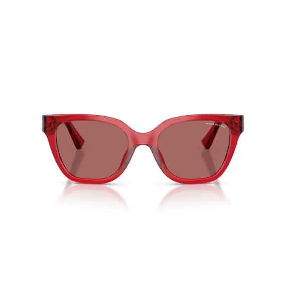 Armani Exchange AX 4164SU 839369 Güneş Gözlüğü, Resim 6