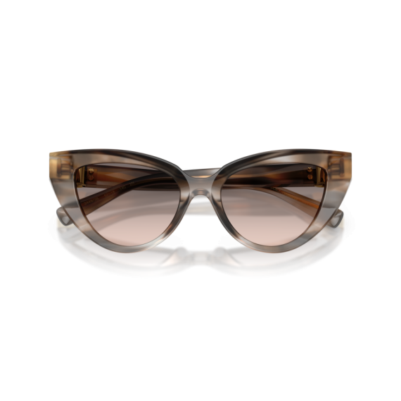 Dolce & Gabbana DG 4497 34493B Güneş Gözlüğü, Resim 8