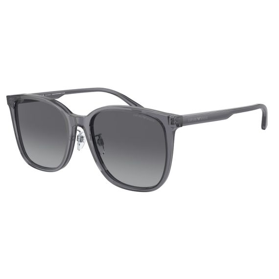 Emporio Armani EA 4206D 5029T3 Güneş Gözlüğü, Resim 10