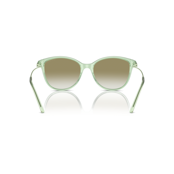 Emporio Armani EA 4220 61078E Güneş Gözlüğü, Resim 3