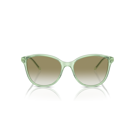 Emporio Armani EA 4220 61078E Güneş Gözlüğü, Resim 4