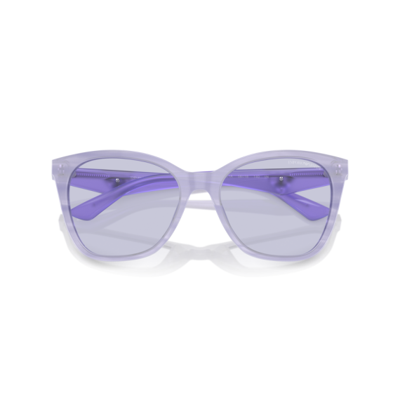 Emporio Armani EA 4222U 61131A Güneş Gözlüğü, Resim 5