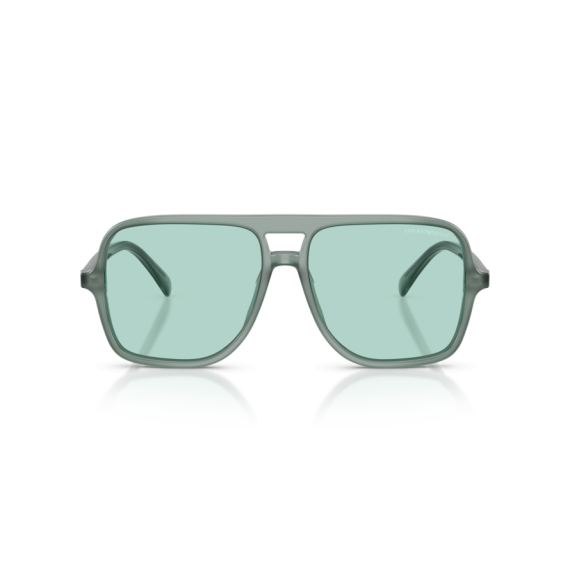 Emporio Armani EA 4252U 627065 Güneş Gözlüğü, Resim 6