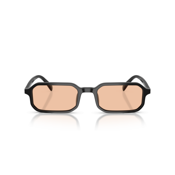 Emporio Armani EA 4253U 501793 Güneş Gözlüğü, Resim 6