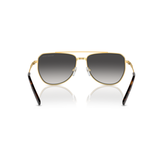 Michael Kors MK 1155 18968G Güneş Gözlüğü, Resim 4