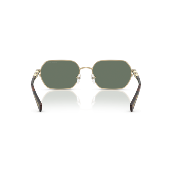 Michael Kors MK 1165 10143H Güneş Gözlüğü, Resim 4