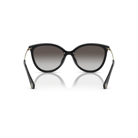 Michael Kors MK 2184U 30058G Güneş Gözlüğü, Cinsiyet: Kadın, Ekartman: 58, Resim 4