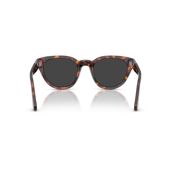 Persol PO 3379S 24/48 Güneş Gözlüğü, Cinsiyet: Unisex, Ekartman: 51, Polarize: Evet, Resim 4