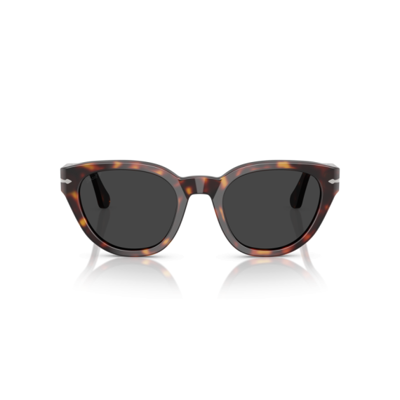 Persol PO 3379S 24/48 Güneş Gözlüğü, Cinsiyet: Unisex, Ekartman: 54, Polarize: Evet, Resim 8
