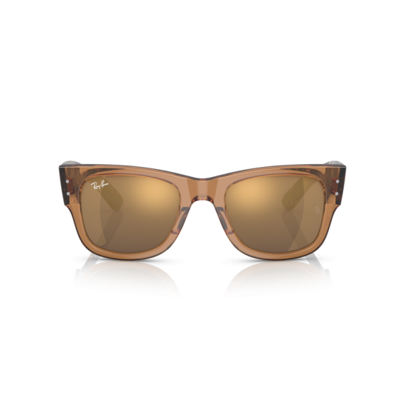 Ray-Ban RB 0840S 663693 Güneş Gözlüğü, Resim 6