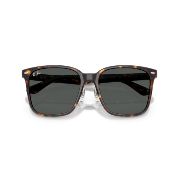 Ray-Ban RB 2206D 710/87 Güneş Gözlüğü, Resim 10