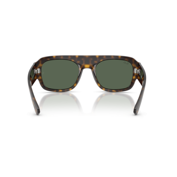 Ray-Ban RB 2218 679071 Güneş Gözlüğü, Resim 4