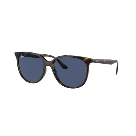 Ray-Ban RB 4378 710/80 Güneş Gözlüğü, Resim 12