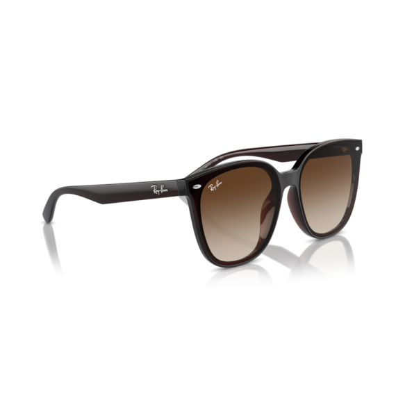 Ray-Ban RB 4423D 714/13 Güneş Gözlüğü, Resim 6