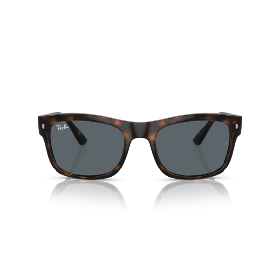 Ray-Ban RB 4428 710/R5 Güneş Gözlüğü, Resim 8