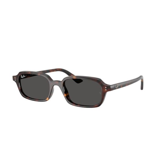 Ray-Ban RB 4455 135987 Güneş Gözlüğü, Cinsiyet: Unisex, Ekartman: 49, Resim 12