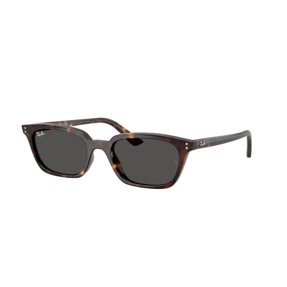 Ray-Ban RB 4456 135987 Güneş Gözlüğü, Cinsiyet: Unisex, Ekartman: 53, Resim 12