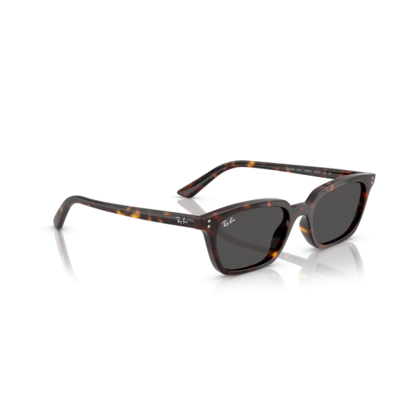 Ray-Ban RB 4456 135987 Güneş Gözlüğü, Cinsiyet: Unisex, Ekartman: 50, Resim 6