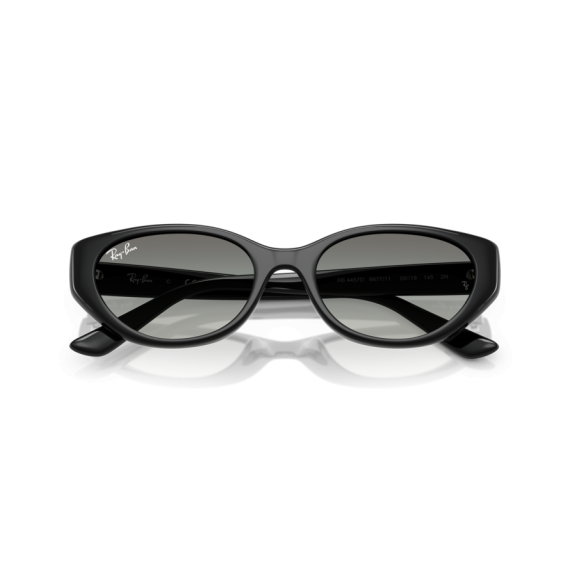 Ray-Ban RB 4457D 667711 Güneş Gözlüğü, Resim 10