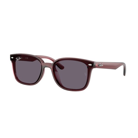Ray-Ban RB 4461D 659373 Güneş Gözlüğü, Resim 12