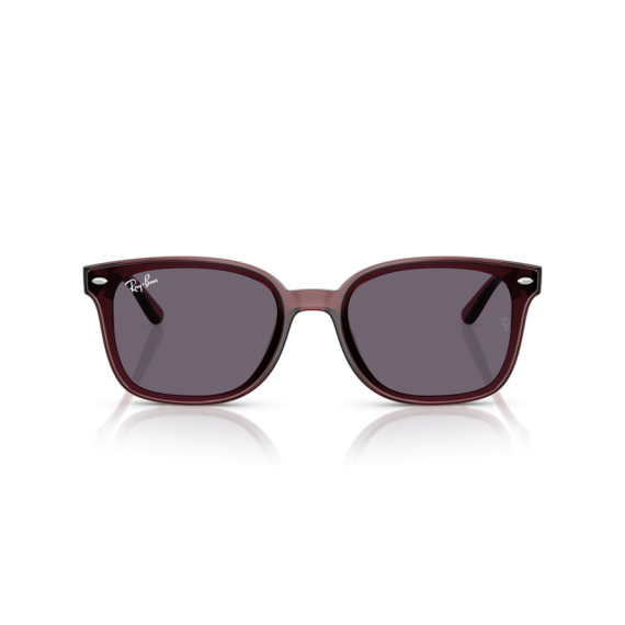Ray-Ban RB 4461D 659373 Güneş Gözlüğü, Resim 8