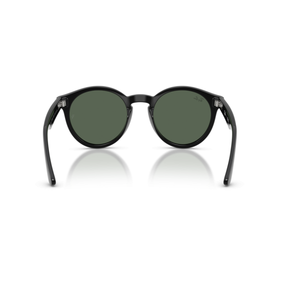Ray-Ban RB R0505S 6677VR Güneş Gözlüğü, Resim 4
