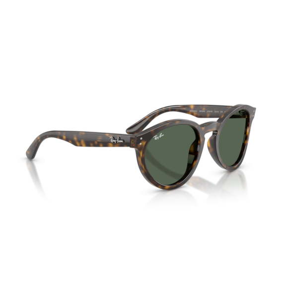 Ray-Ban RB R0505S 6790VR Güneş Gözlüğü, Resim 6