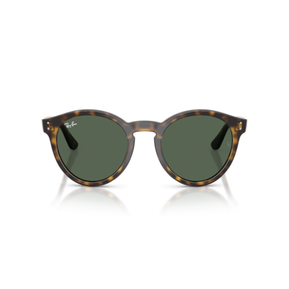 Ray-Ban RB R0505S 6790VR Güneş Gözlüğü, Resim 8