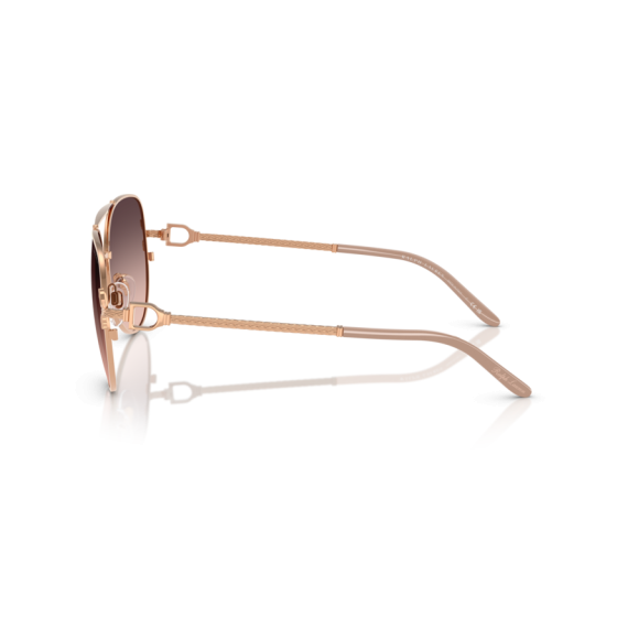 Ralph Lauren RL 7087 9329U8 Güneş Gözlüğü, Resim 2