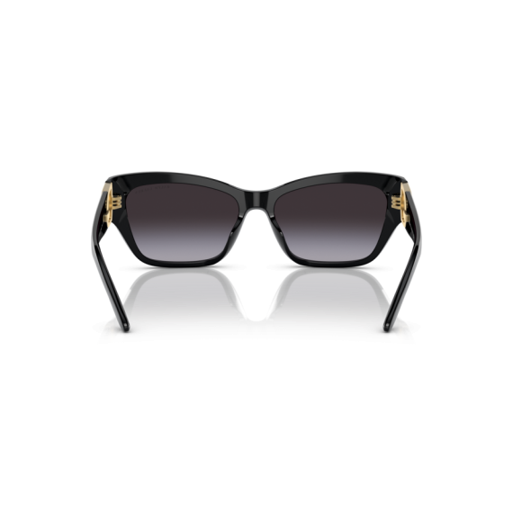 Ralph Lauren RL 8206U 50018G Güneş Gözlüğü, Resim 3
