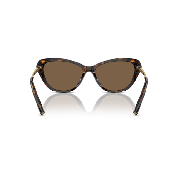 Ralph Lauren RL 8224U 500373 Güneş Gözlüğü, Resim 4