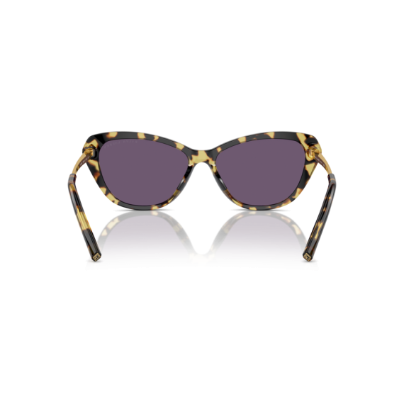 Ralph Lauren RL 8224U 50041A Güneş Gözlüğü, Resim 3